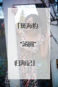 斑海豹“汤圆”归海记