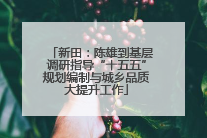 新田：陈雄到基层调研指导“十五五”规划编制与城乡品质大提升工作