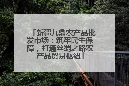 新疆九鼎农产品批发市场：筑牢民生保障，打通丝绸之路农产品贸易枢纽