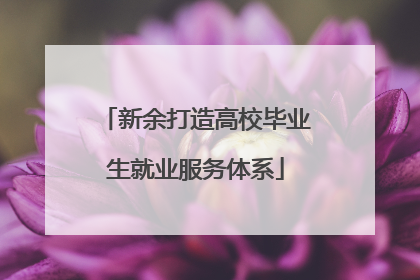 新余打造高校毕业生就业服务体系