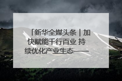 新华全媒头条｜加快赋能千行百业 持续优化产业生态——浙江推动人工智能健康有序发展观察