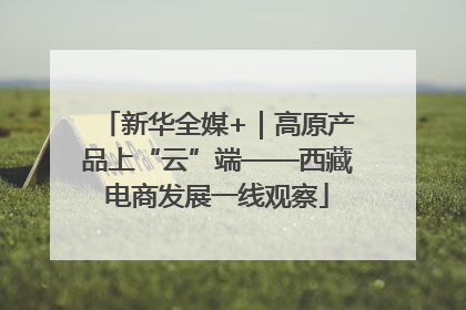 新华全媒+｜高原产品上“云”端——西藏电商发展一线观察