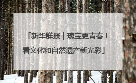 新华鲜报｜瑰宝更青春！看文化和自然遗产新光彩