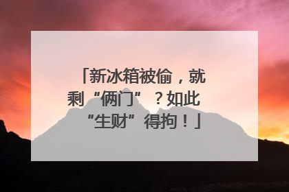 新冰箱被偷，就剩“俩门”？如此“生财”得拘！