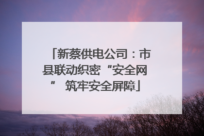新蔡供电公司：市县联动织密“安全网” 筑牢安全屏障