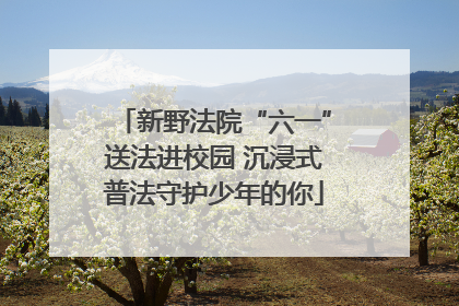 新野法院“六一”送法进校园 沉浸式普法守护少年的你