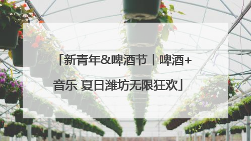 新青年&啤酒节丨啤酒+音乐 夏日潍坊无限狂欢