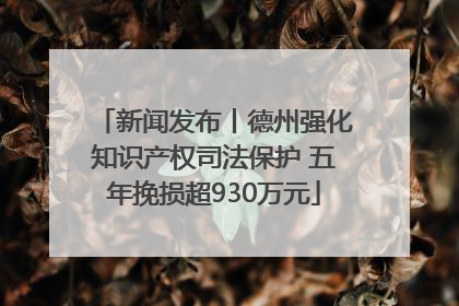 新闻发布丨德州强化知识产权司法保护 五年挽损超930万元
