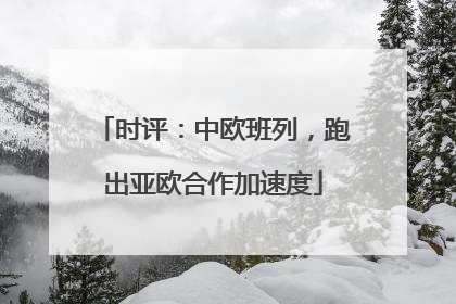 时评：中欧班列，跑出亚欧合作加速度