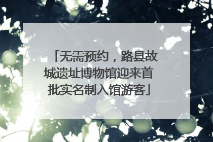 无需预约，路县故城遗址博物馆迎来首批实名制入馆游客