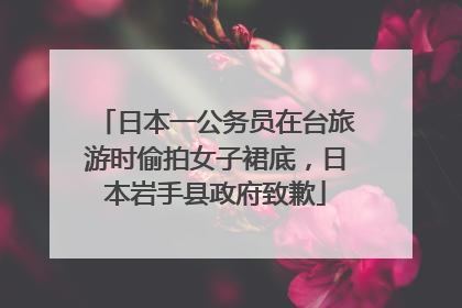 日本一公务员在台旅游时偷拍女子裙底，日本岩手县政府致歉