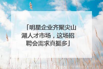 明星企业齐聚尖山湖人才市场，这场招聘会需求真挺多