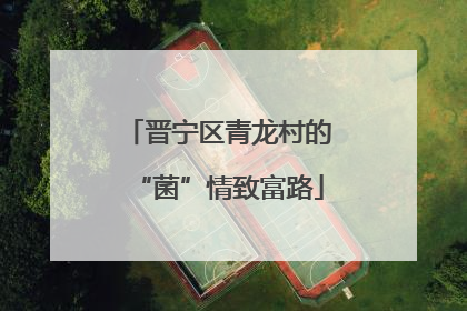 晋宁区青龙村的“菌”情致富路