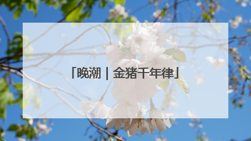 晚潮｜金猪千年律