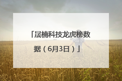晟楠科技龙虎榜数据（6月3日）