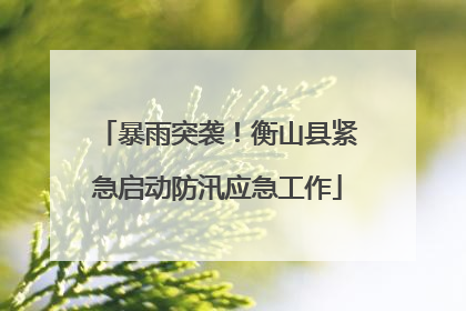 暴雨突袭！衡山县紧急启动防汛应急工作