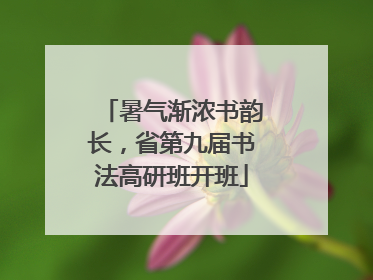 暑气渐浓书韵长，省第九届书法高研班开班