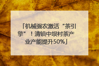 机械强农激活“茶引擎”！清镇中坝村茶产业产能提升50%
