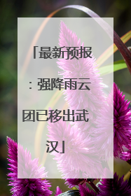 最新预报：强降雨云团已移出武汉