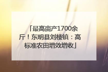 最高亩产1700余斤！东明县刘楼镇：高标准农田增效增收