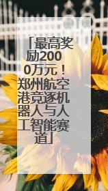 最高奖励2000万元！郑州航空港竞逐机器人与人工智能赛道