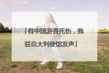 有中国游客死伤，我驻意大利使馆发声