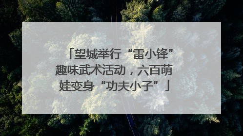 望城举行“雷小锋”趣味武术活动，六百萌娃变身“功夫小子”