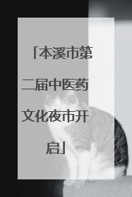 本溪市第二届中医药文化夜市开启