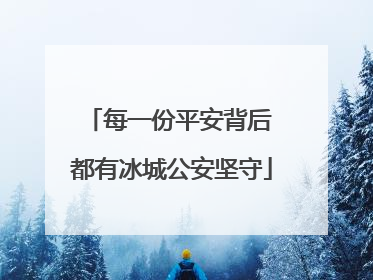 每一份平安背后 都有冰城公安坚守