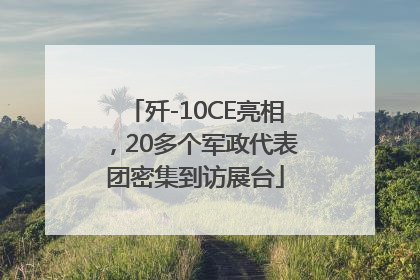 歼-10CE亮相，20多个军政代表团密集到访展台