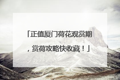 正值厦门荷花观赏期，赏荷攻略快收藏！