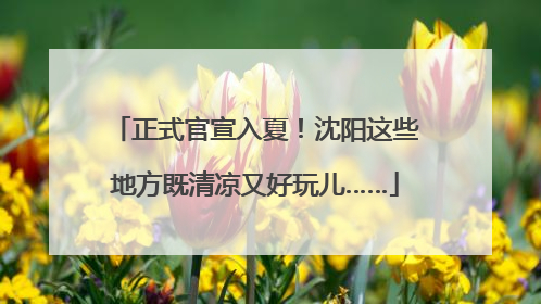 正式官宣入夏！沈阳这些地方既清凉又好玩儿……