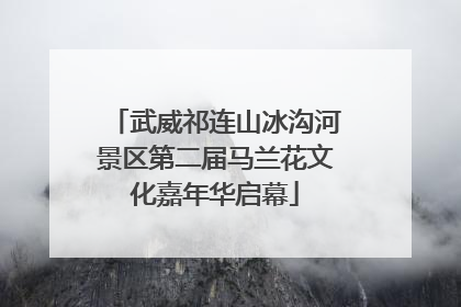 武威祁连山冰沟河景区第二届马兰花文化嘉年华启幕
