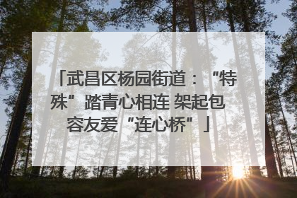 武昌区杨园街道：“特殊”踏青心相连 架起包容友爱“连心桥”