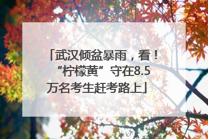 武汉倾盆暴雨，看！“柠檬黄”守在8.5万名考生赶考路上