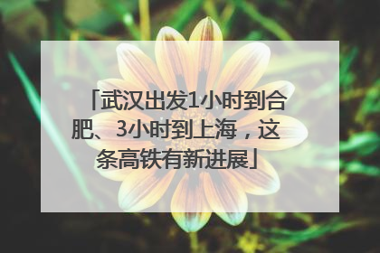 武汉出发1小时到合肥、3小时到上海，这条高铁有新进展