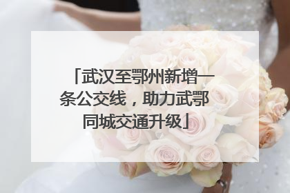 武汉至鄂州新增一条公交线，助力武鄂同城交通升级
