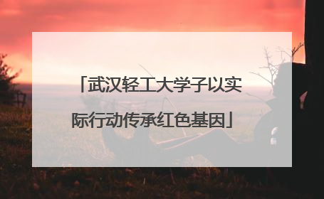 武汉轻工大学子以实际行动传承红色基因