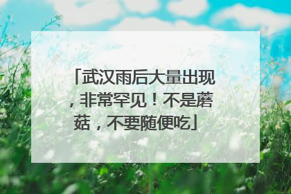 武汉雨后大量出现，非常罕见！不是蘑菇，不要随便吃