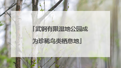 武钢有限湿地公园成为珍稀鸟类栖息地