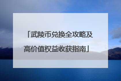 武陵币兑换全攻略及高价值权益收获指南