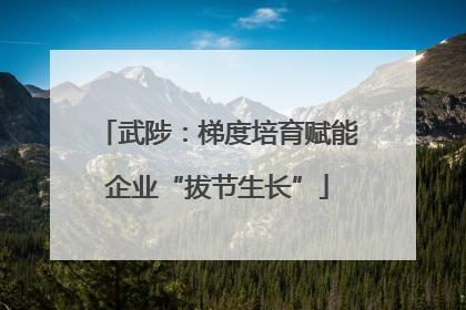 武陟：梯度培育赋能企业“拔节生长”