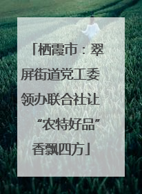 栖霞市：翠屏街道党工委领办联合社让“农特好品”香飘四方