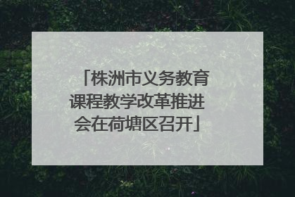 株洲市义务教育课程教学改革推进会在荷塘区召开