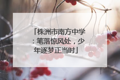株洲市南方中学：笔落惊风处，少年逐梦正当时