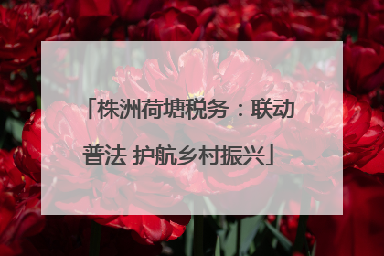 株洲荷塘税务：联动普法 护航乡村振兴