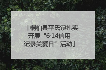 桐柏县平氏镇扎实开展“6·14信用记录关爱日”活动