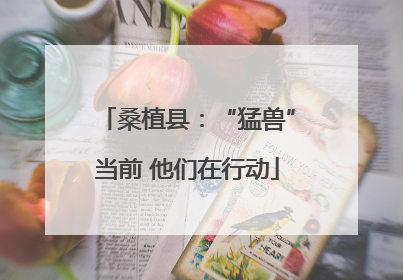 桑植县：“猛兽”当前 他们在行动