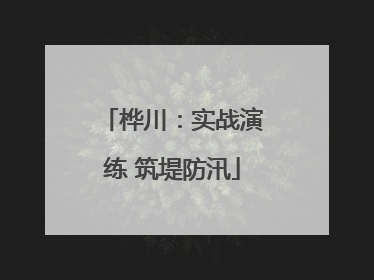 桦川：实战演练 筑堤防汛