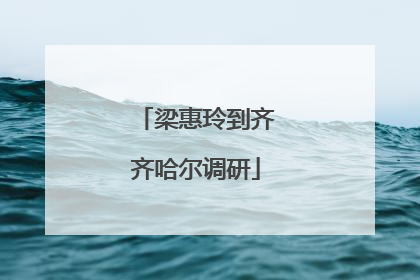 梁惠玲到齐齐哈尔调研